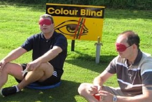 <p>Colour Blind</p>
